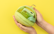 SMISKI Cushion Pouch Q2