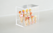 Sonny Angel Acrylic Display Case R4