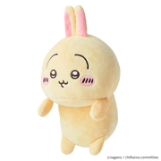 Posture Pal - CHiiKAWA N7
