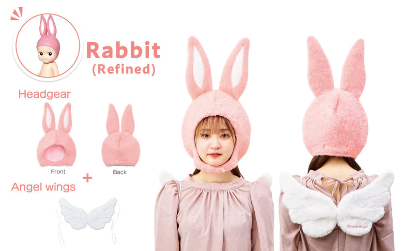 Sonny Angel Costume - Series 2 R6