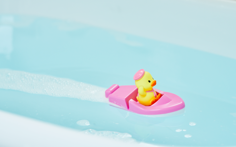 Duck Sailor Boat R9