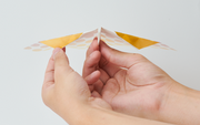 Papillon Origami Airplanes N7