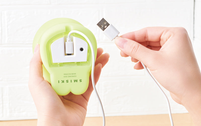 SMISKI Touch Light X8