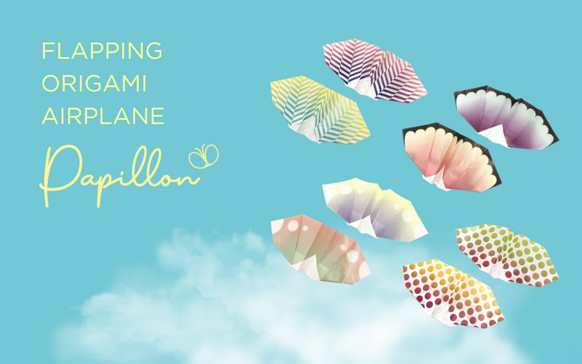 Papillon Origami Airplanes N7