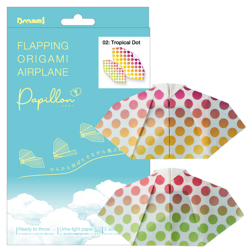 Papillon Origami Airplanes N7