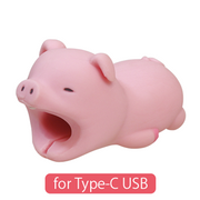 CABLE BITE for Type-C USB K7