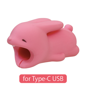 CABLE BITE for Type-C USB K7